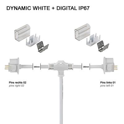 Y-ANSCHLUSSKABEL IP67 PRO DYNAMIC WHITE + DIGITAL
