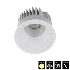 DOWNLIGHT ARENA 100, reflector white, 30°, NW