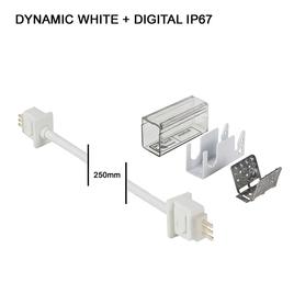 cable connector IP67 FLAT DYNAMIC WHITE + DIGITAL