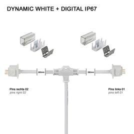 Y-supply connector IP67 FLAT DYNAMIC WHITE + DIGITAL