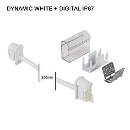 cable connector IP67 PRO DYNAMIC WHITE + DIGITAL
