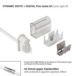 supply connector right 02 IP67 to open wires PRO DYNAMIC WHITE