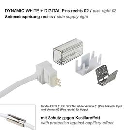 supply connector side cable right, pins right 02 IP67 to open wires FLAT DYNAMIC WHITE + DIGITAL 