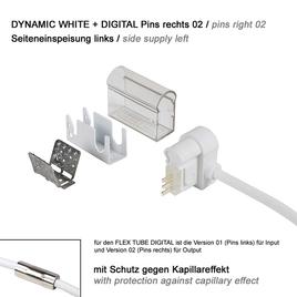 supply connector side cable left, pins right 02 IP67 to open wires PRO DYNAMIC WHITE + DIGITAL 