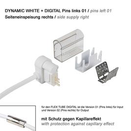 supply connector side cable right, pins left 01 IP67 to open wires PRO DYNAMIC WHITE + DIGITAL 