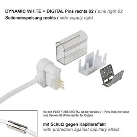 supply connector side cable right, pins right 02 IP67 to open wires PRO DYNAMIC WHITE + DIGITAL 